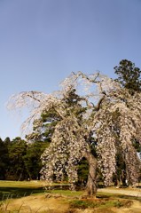 DSC04780