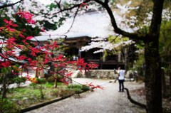 お寺参り