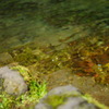 純水