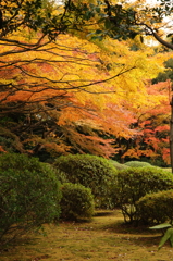 DSC003001