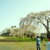 将来の夢
