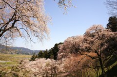 展望