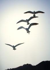 1,2,3,4！！