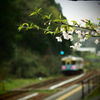 名残桜の駅