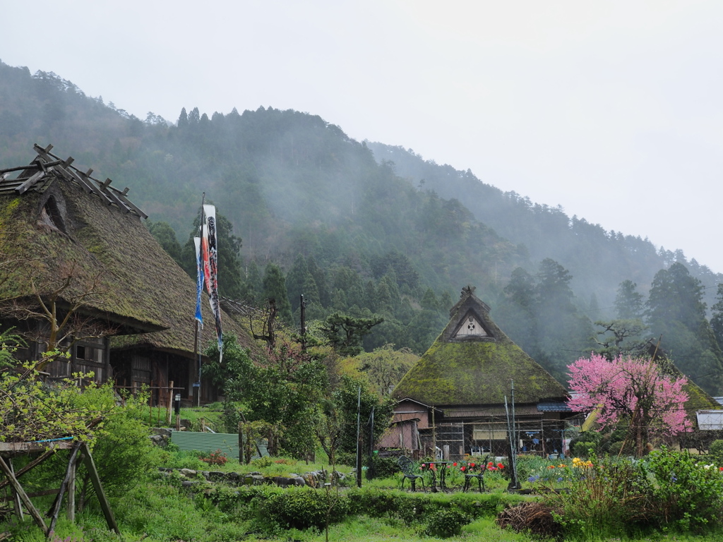 雨に濡れる原風景3