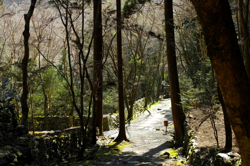 栂尾山高山寺参道