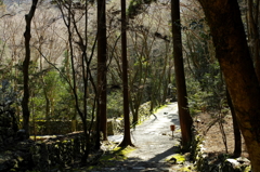 栂尾山高山寺参道