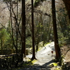 栂尾山高山寺参道