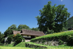 京都市登録有形文化財 河原家住宅 ・・・。