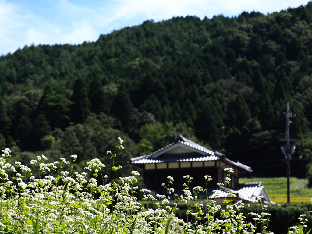 亀岡市犬甘野・・・（2）