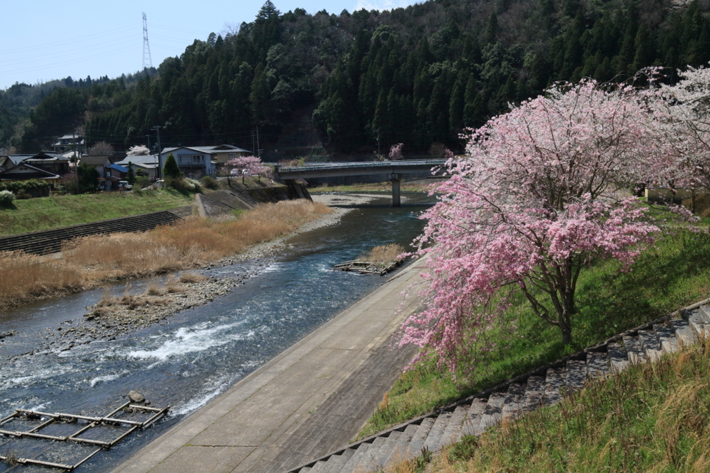 山里・・・。