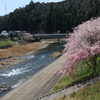 山里・・・。
