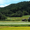 亀岡市犬甘野・・・（1）