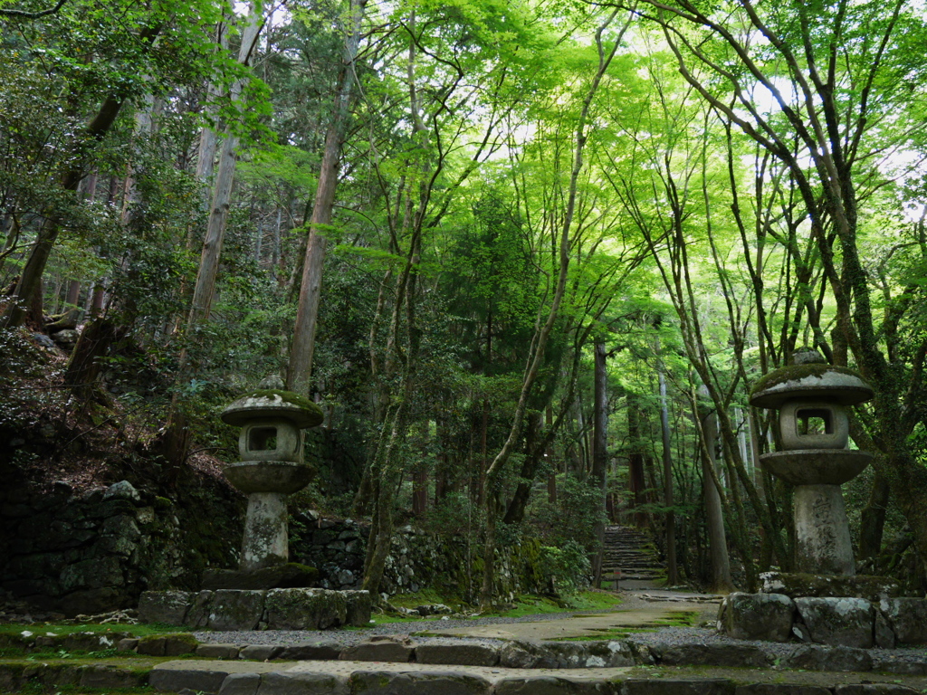 京都高雄　高山寺（1）