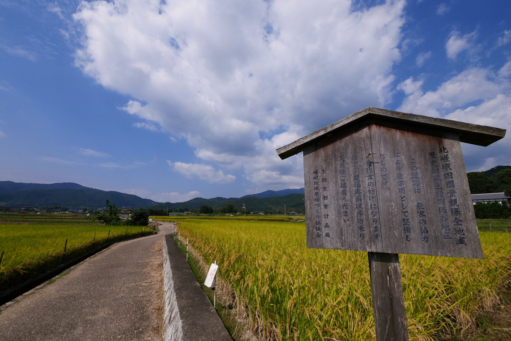 北嵯峨田園景観保全地域、歴史的風土特別保存地区