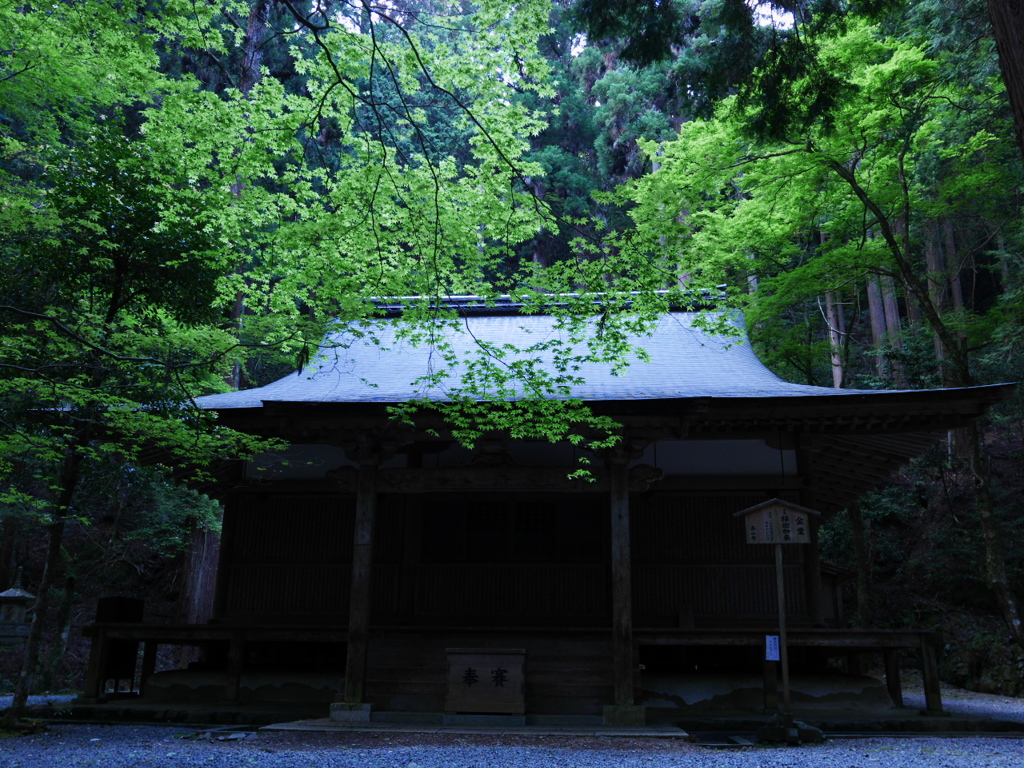 京都高雄　高山寺（3）