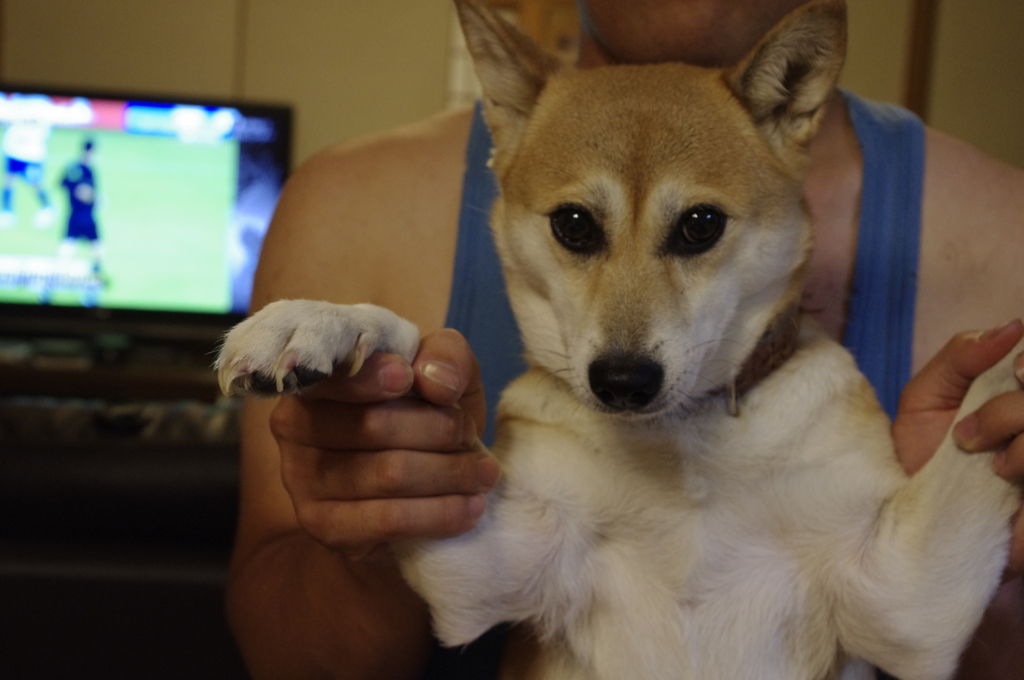 お手上げ