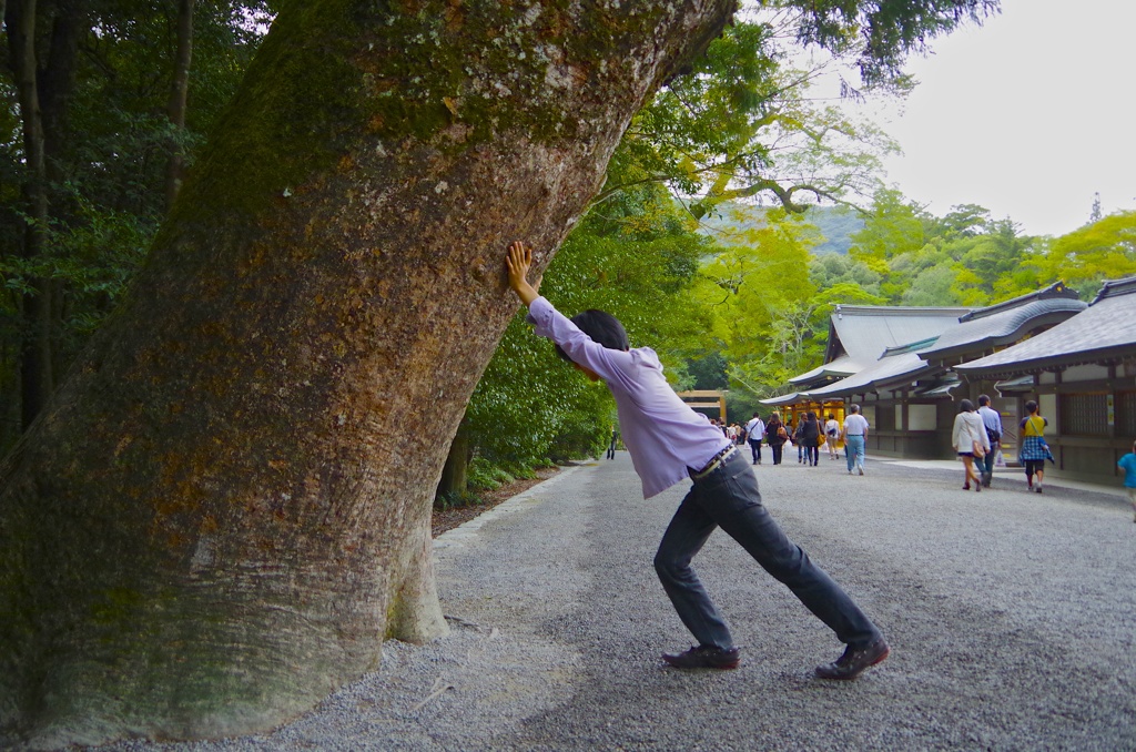 神木を支える男