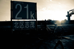 自転車で荒川