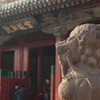 獅子