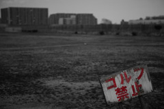 No Golf