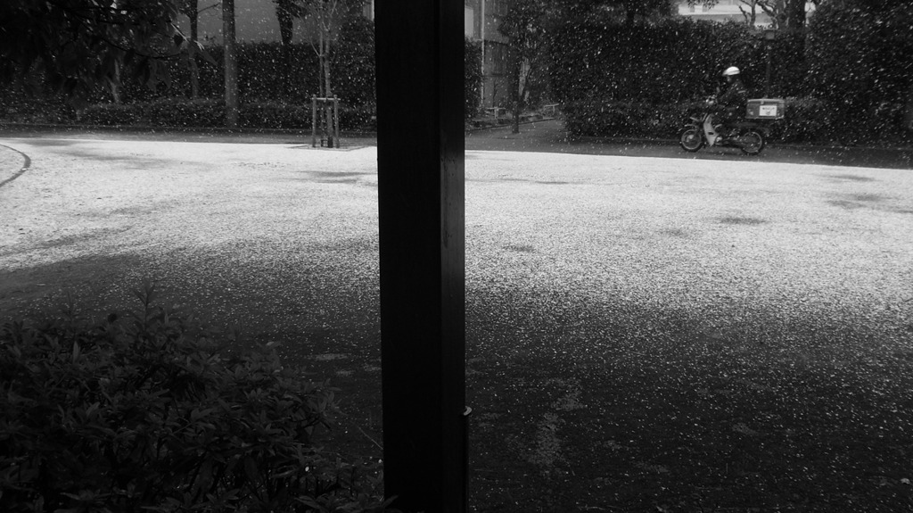 雪中のポストマン