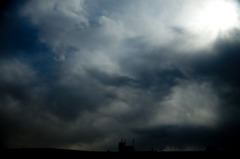 A Bird In The Strange Sky 