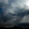 A Bird In The Strange Sky 
