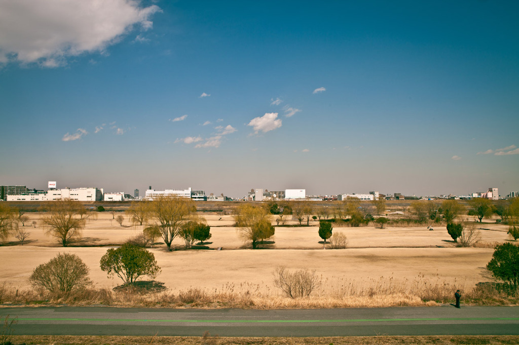 BlueSky&YellowLand