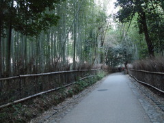竹林の道
