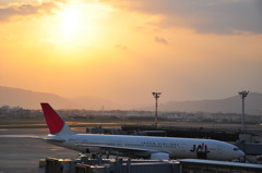 飛行場の夕日２