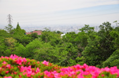高台