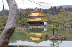 金閣寺