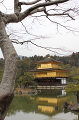 金閣寺