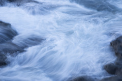 ride the wave