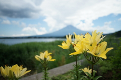 夏の風景