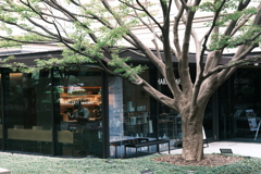 植栽とCAFE
