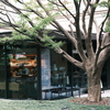 植栽とCAFE