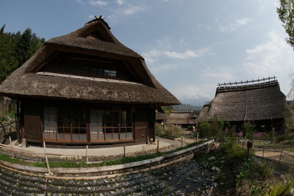 Japan!