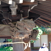 2023春深大寺2