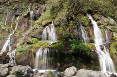 2012吐竜の滝