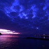 P1020232