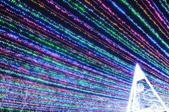 パァァァ