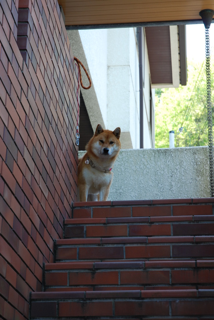 お見送り