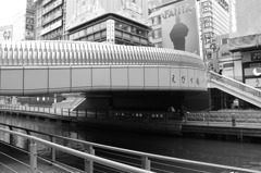 橋を渡る人