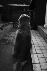 思い出す