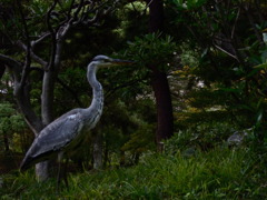 見つめる先に