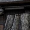 平尾の公園の近くの家