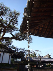 P1050491