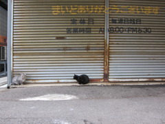 まいどありがとうございます